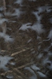 Detail 8