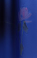 Detail 4